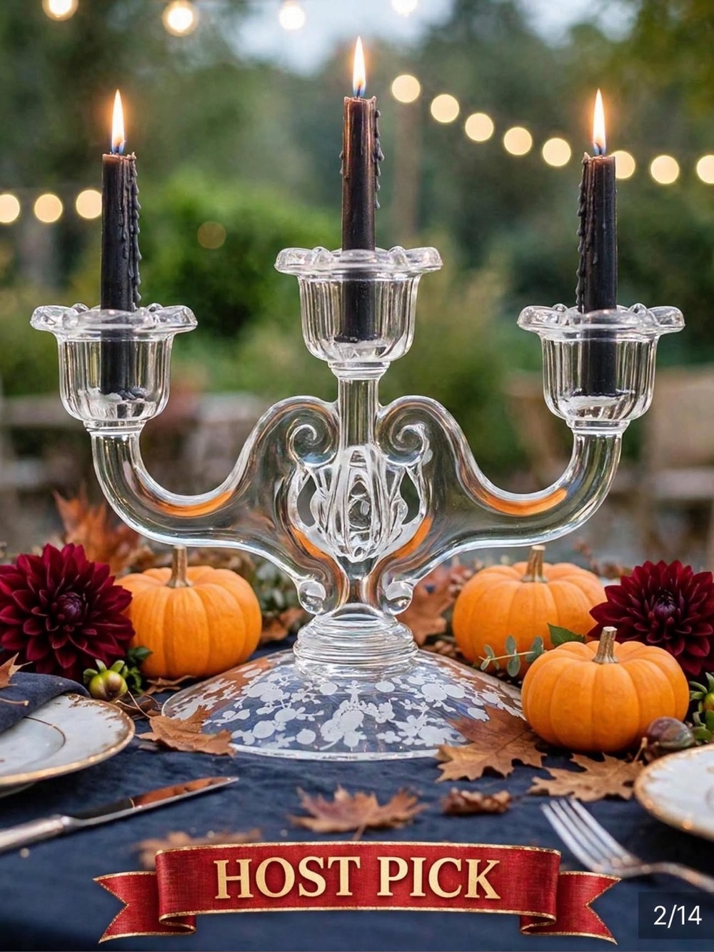 Wildflower Clear by CAMBRIDGE
3 Light Candelabra Candlestick Holder Vintage